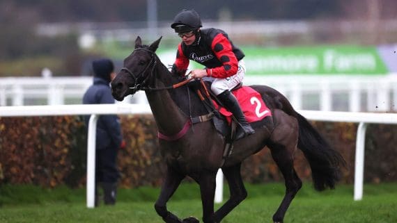 Haydock Grand National Trial